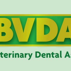 BVDA logo on a green tinted background
