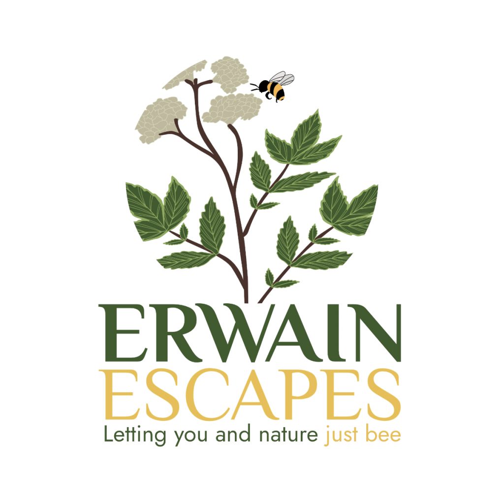 Erwain logo design work